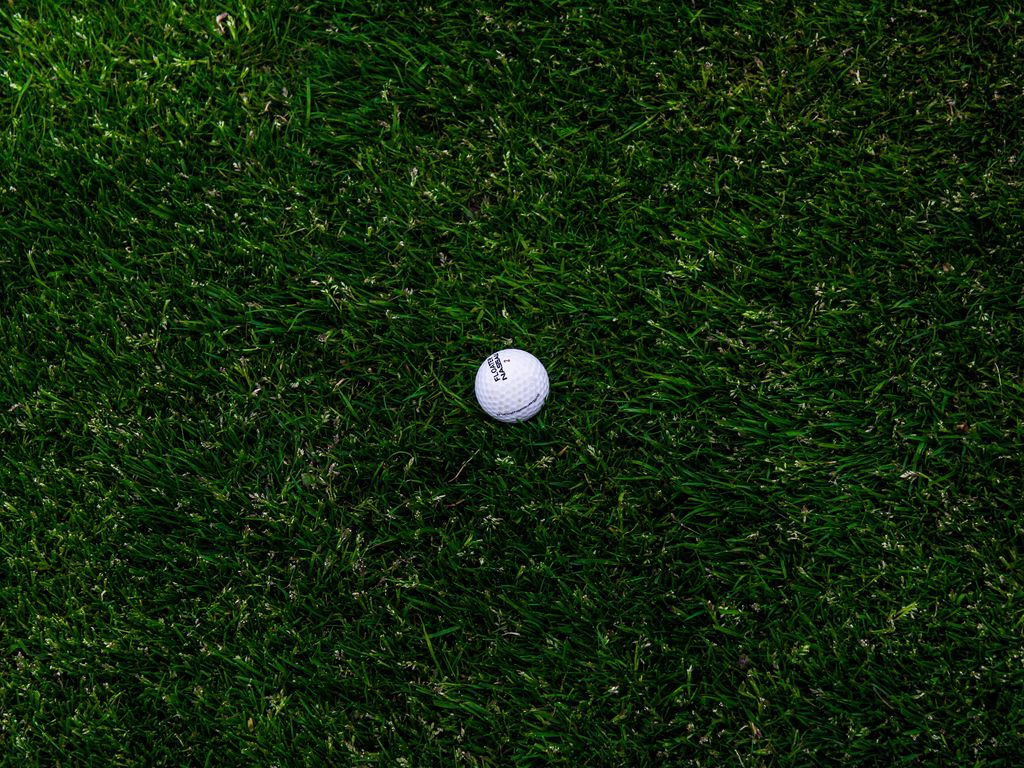 1024x768 Wallpaper golf, ball, grass, lawn