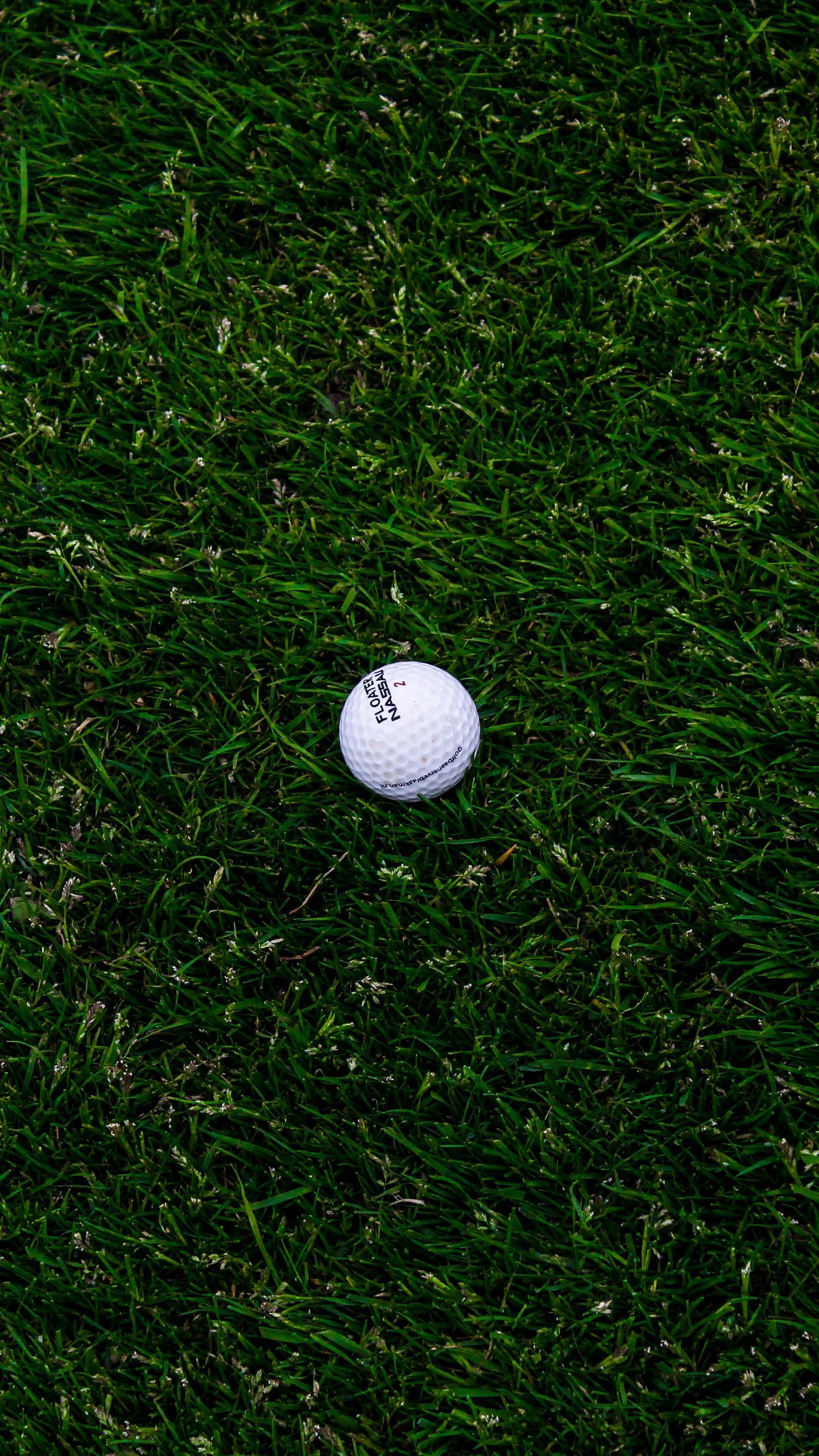 Golf golf course green grass golf ball golf concepts summer HD  wallpaper  Peakpx