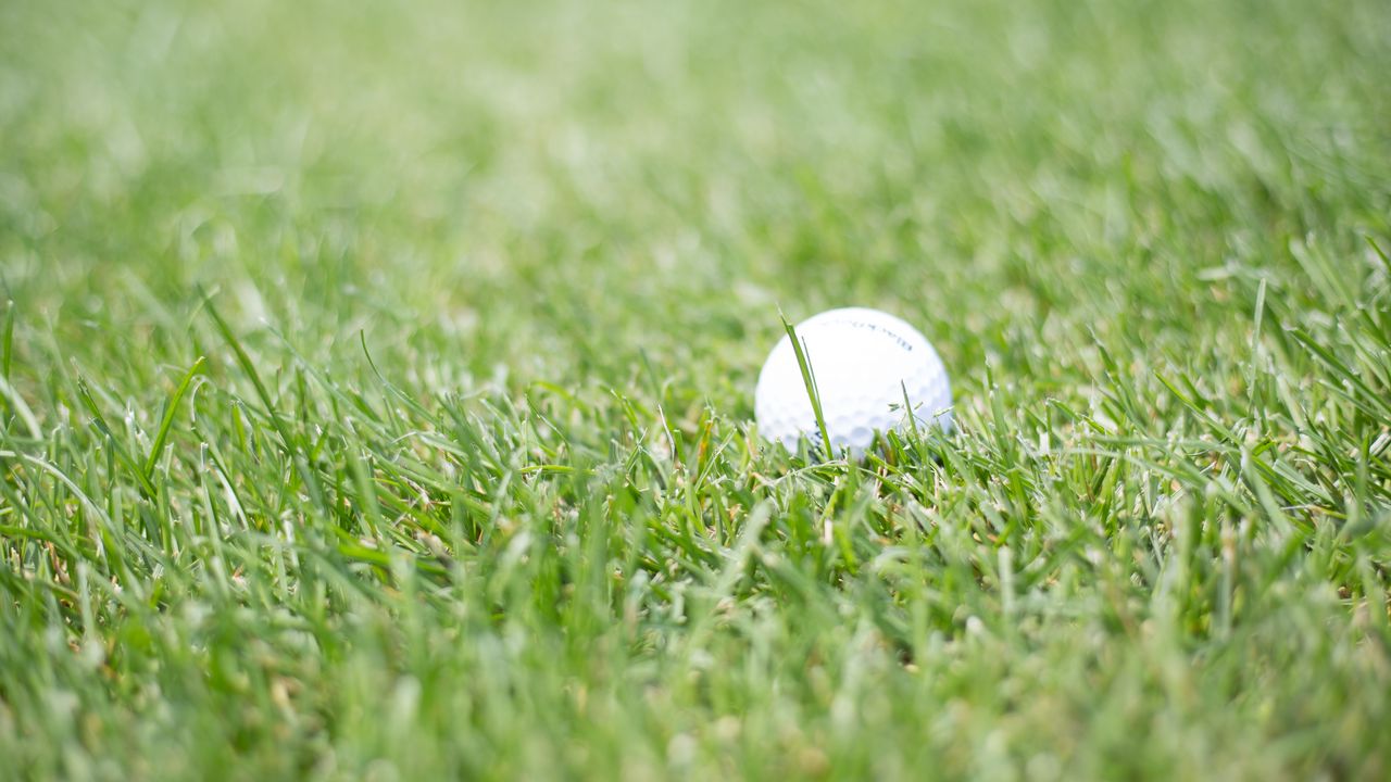Wallpaper golf, ball, grass, sport