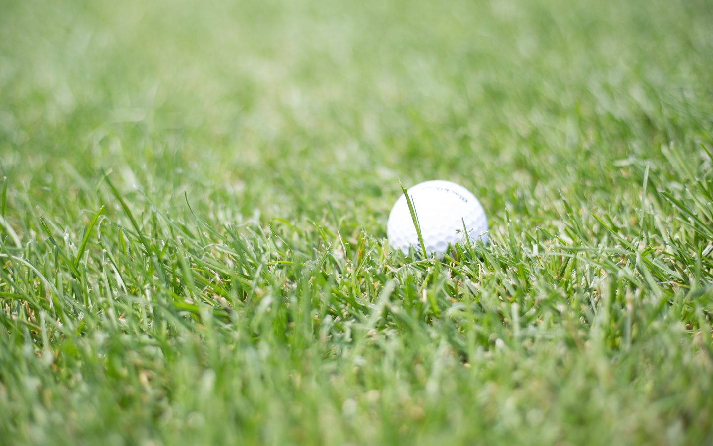 1440x900 Wallpaper golf, ball, grass, sport