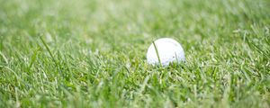 Preview wallpaper golf, ball, grass, sport