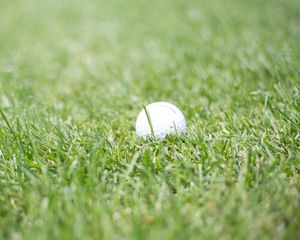 Preview wallpaper golf, ball, grass, sport