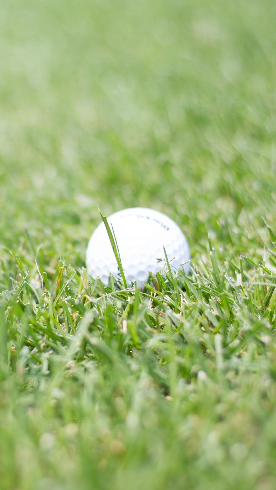 938x1668 Wallpaper golf, ball, grass, sport