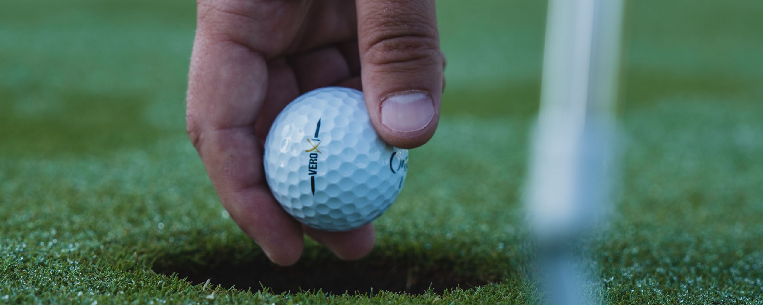 2560x1024 Wallpaper golf, ball, hand, grass, sport