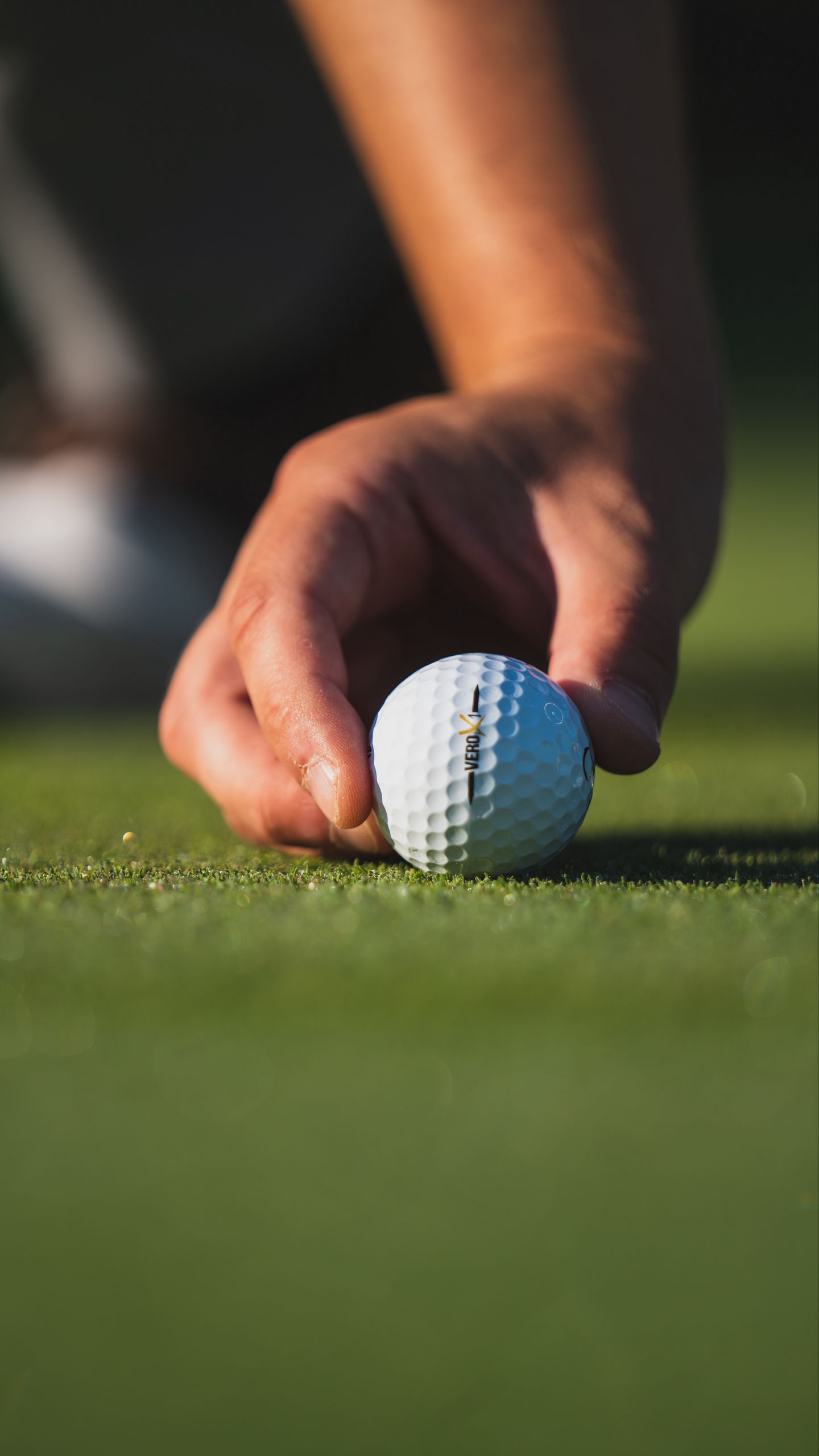 1440x2560 Wallpaper golf, ball, hand, fingers, grass, sport