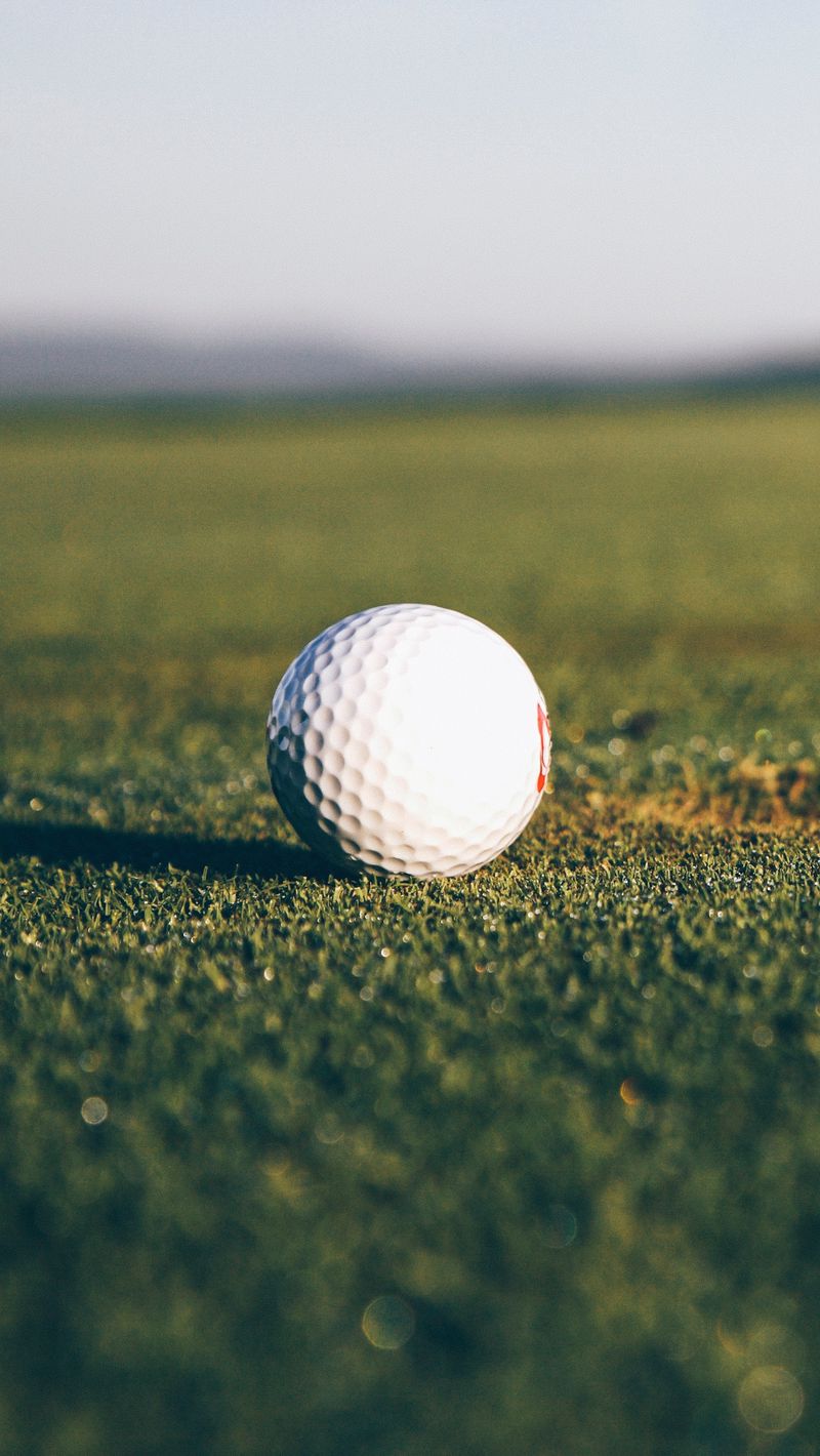 Download wallpaper 800x1420 golf, ball, hole, lawn iphone se/5s/5c/5 for  parallax hd background