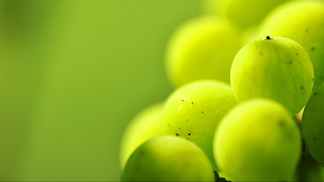 Wallpaper gooseberries, berry plants, light, blur