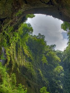 Preview wallpaper gorge, arch, rock, vegetation, green, sky, clouds, from below