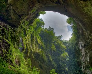 Preview wallpaper gorge, arch, rock, vegetation, green, sky, clouds, from below