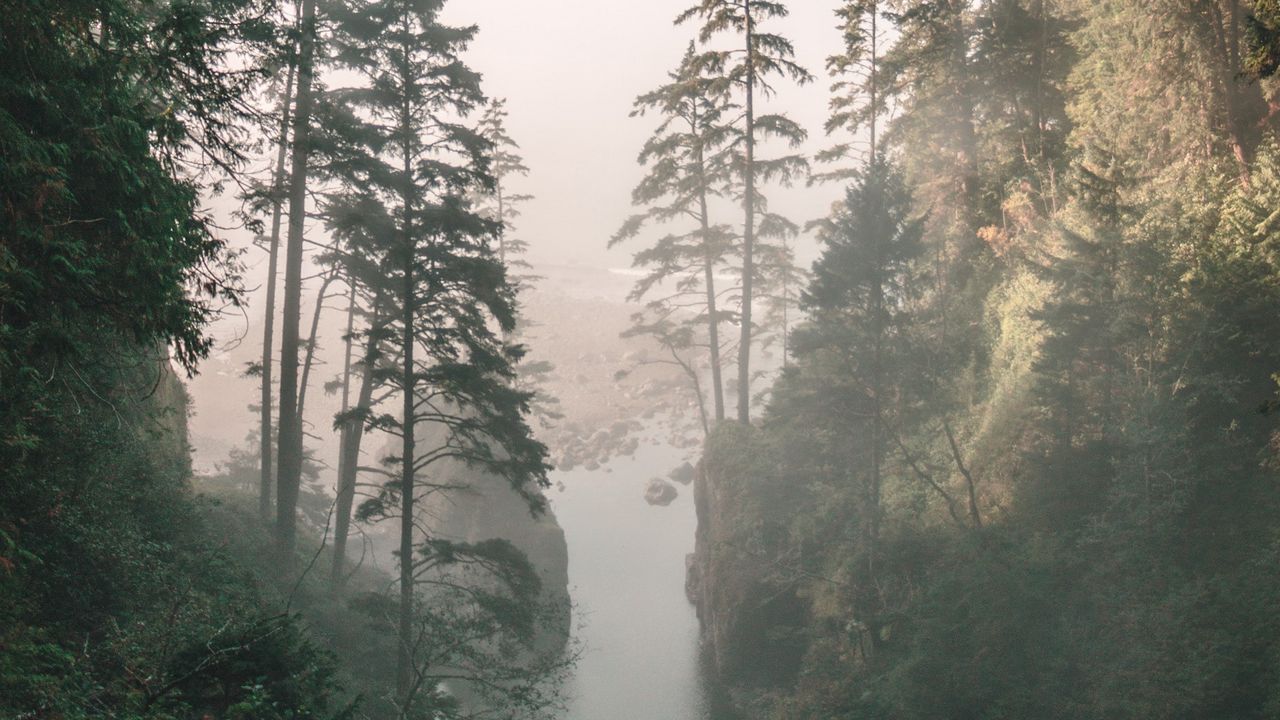 Wallpaper gorge, river, fog, cliffs, trees