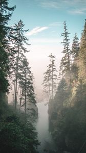 Preview wallpaper gorge, river, fog, cliffs, trees