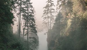 Preview wallpaper gorge, river, fog, cliffs, trees