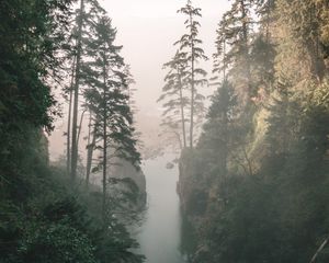 Preview wallpaper gorge, river, fog, cliffs, trees