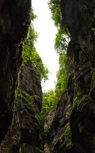 Preview wallpaper gorge, rocks, trees, mountains, nature