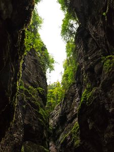 Preview wallpaper gorge, rocks, trees, mountains, nature