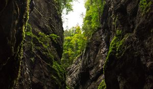 Preview wallpaper gorge, rocks, trees, mountains, nature