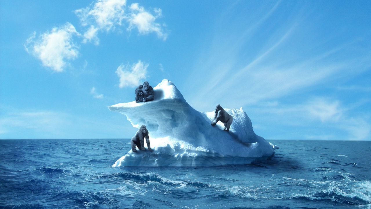 Wallpaper gorilla, iceberg, sea, sky
