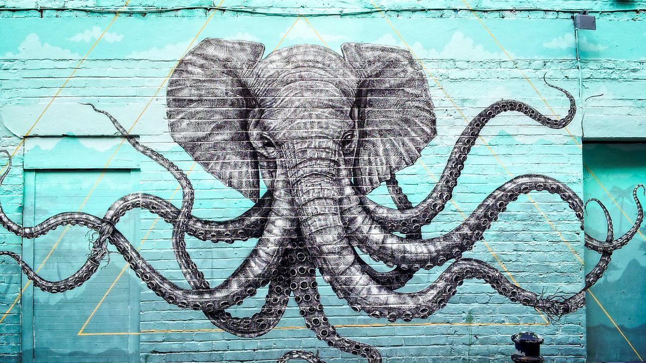 Wallpaper graffiti, elephant, octopus, tentacles, art