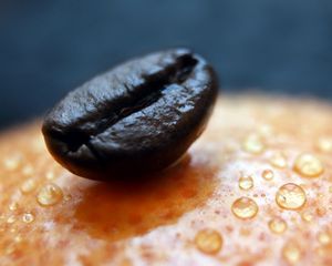 Preview wallpaper grain, coffee, surface, drops