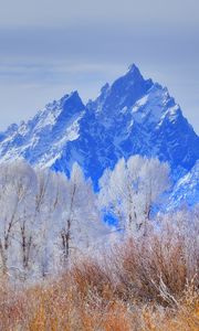 Preview wallpaper grand teton national park, wyoming, usa, mountain, frost