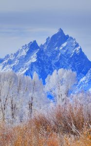 Preview wallpaper grand teton national park, wyoming, usa, mountain, frost