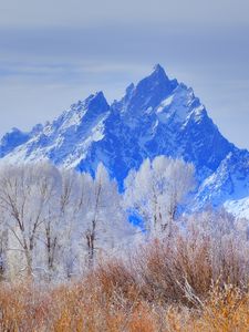 Preview wallpaper grand teton national park, wyoming, usa, mountain, frost