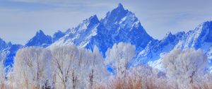 Preview wallpaper grand teton national park, wyoming, usa, mountain, frost