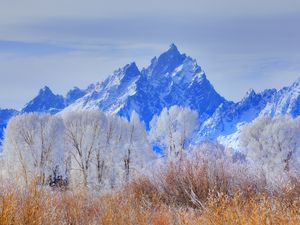 Preview wallpaper grand teton national park, wyoming, usa, mountain, frost