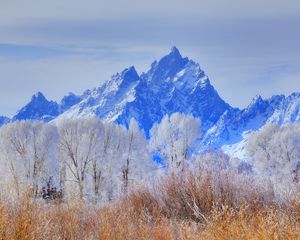 Preview wallpaper grand teton national park, wyoming, usa, mountain, frost