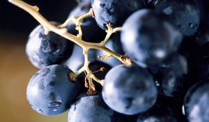 Preview wallpaper grape, berry, food, bunch, blue