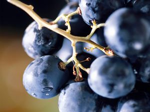 Preview wallpaper grape, berry, food, bunch, blue