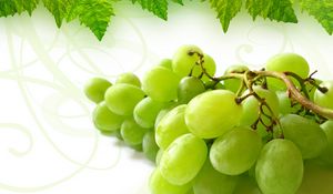 Preview wallpaper grape, cluster, leaf