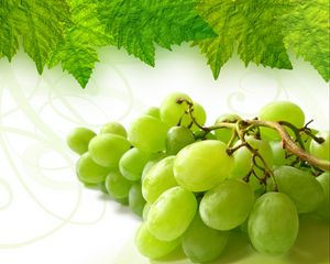 Preview wallpaper grape, cluster, leaf