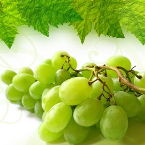 Preview wallpaper grape, cluster, leaf