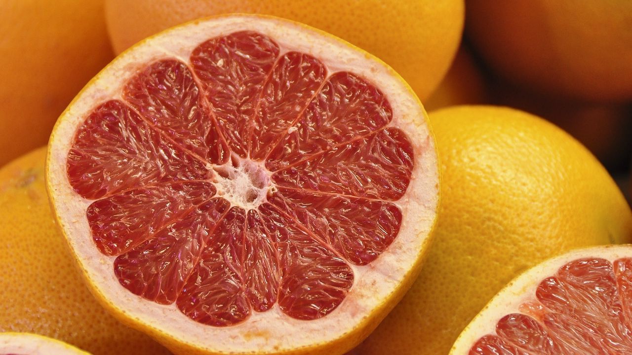 Wallpaper grapefruit, citrus, fruit, yellow