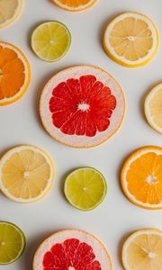 Preview wallpaper grapefruit, orange, lemon, lime, fruit, slices