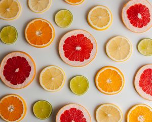 Preview wallpaper grapefruit, orange, lemon, lime, fruit, slices