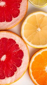 Preview wallpaper grapefruit, orange, lemon, citrus, fruits, slices