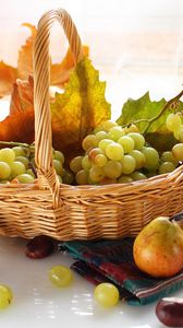 Preview wallpaper grapes, basket, food, fruit