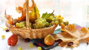 Preview wallpaper grapes, basket, food, fruit