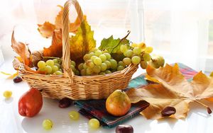 Preview wallpaper grapes, basket, food, fruit