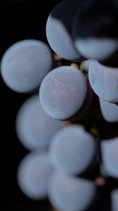 Preview wallpaper grapes, berries, bunch, macro, blur