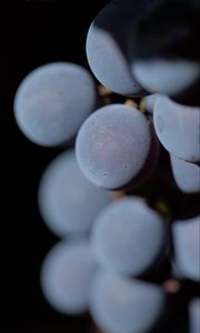 Preview wallpaper grapes, berries, bunch, macro, blur