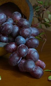 Preview wallpaper grapes, berries, fruit, bunch