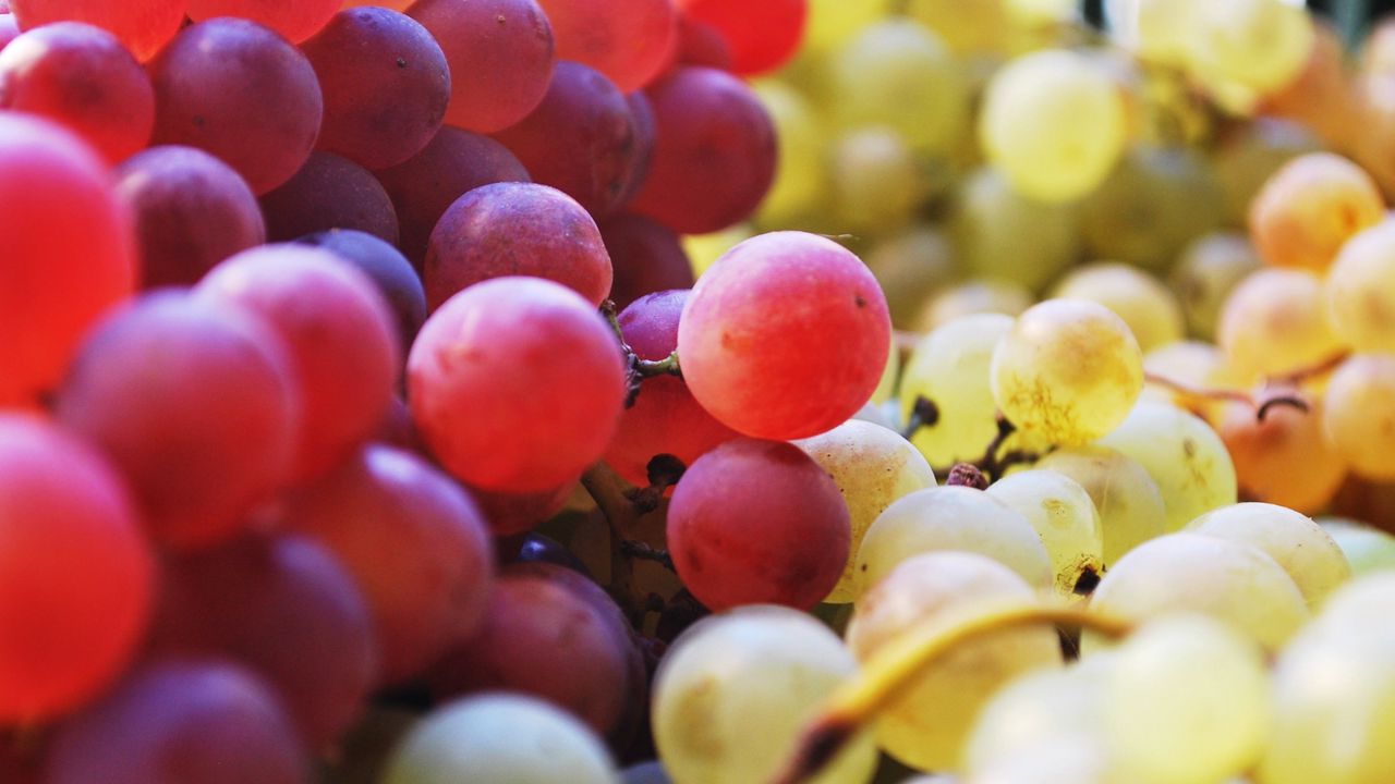 Wallpaper grapes, berries, fruits