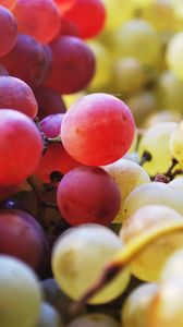 Preview wallpaper grapes, berries, fruits