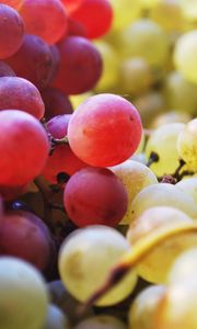 Preview wallpaper grapes, berries, fruits