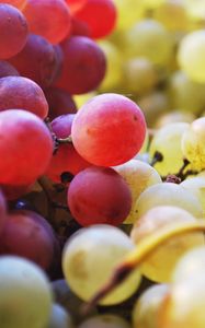 Preview wallpaper grapes, berries, fruits