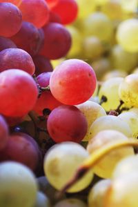 Preview wallpaper grapes, berries, fruits