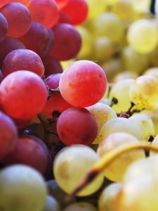 Preview wallpaper grapes, berries, fruits